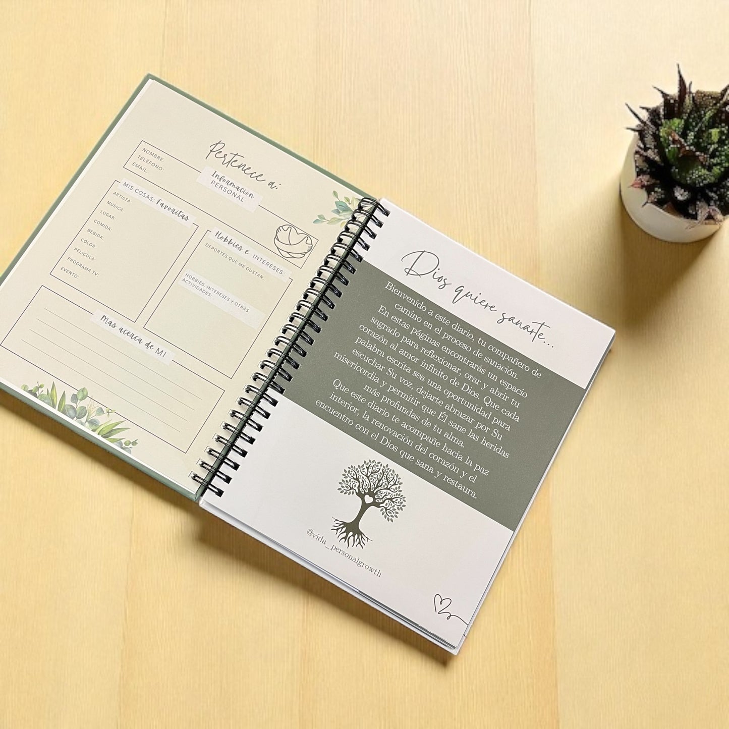 Sanando las Heridas con Jesús: Catholic Prayer & Gratitude Journal